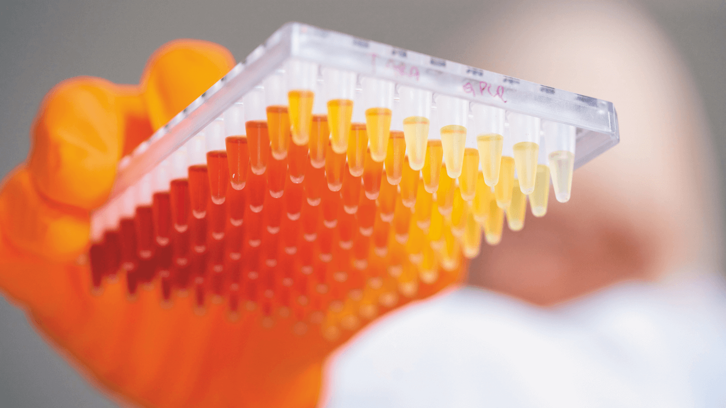 A closeup of someone holding a medication sample that has rows of red, orange and yellow substances.