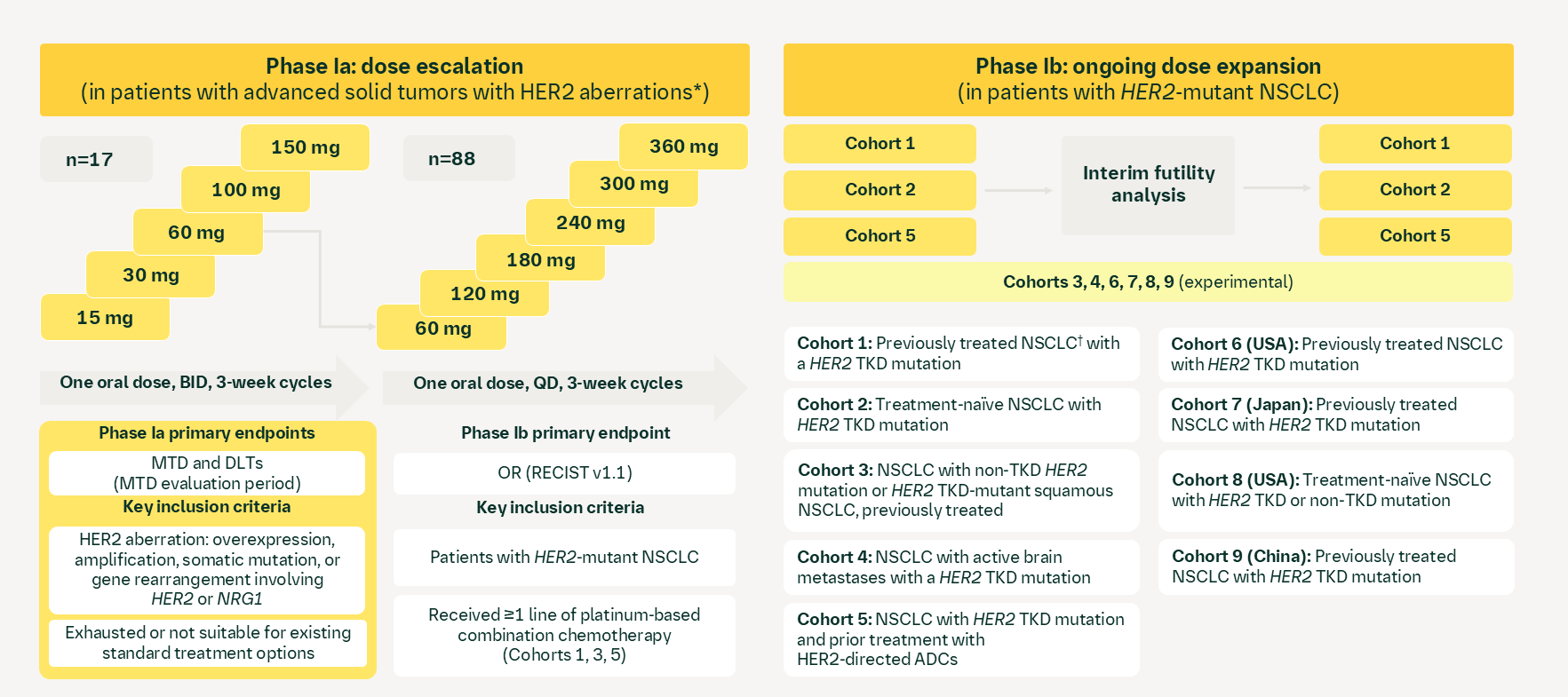 zongertinib: NCT04886804 (Beamion™ LUNG-1, 1479-0001)