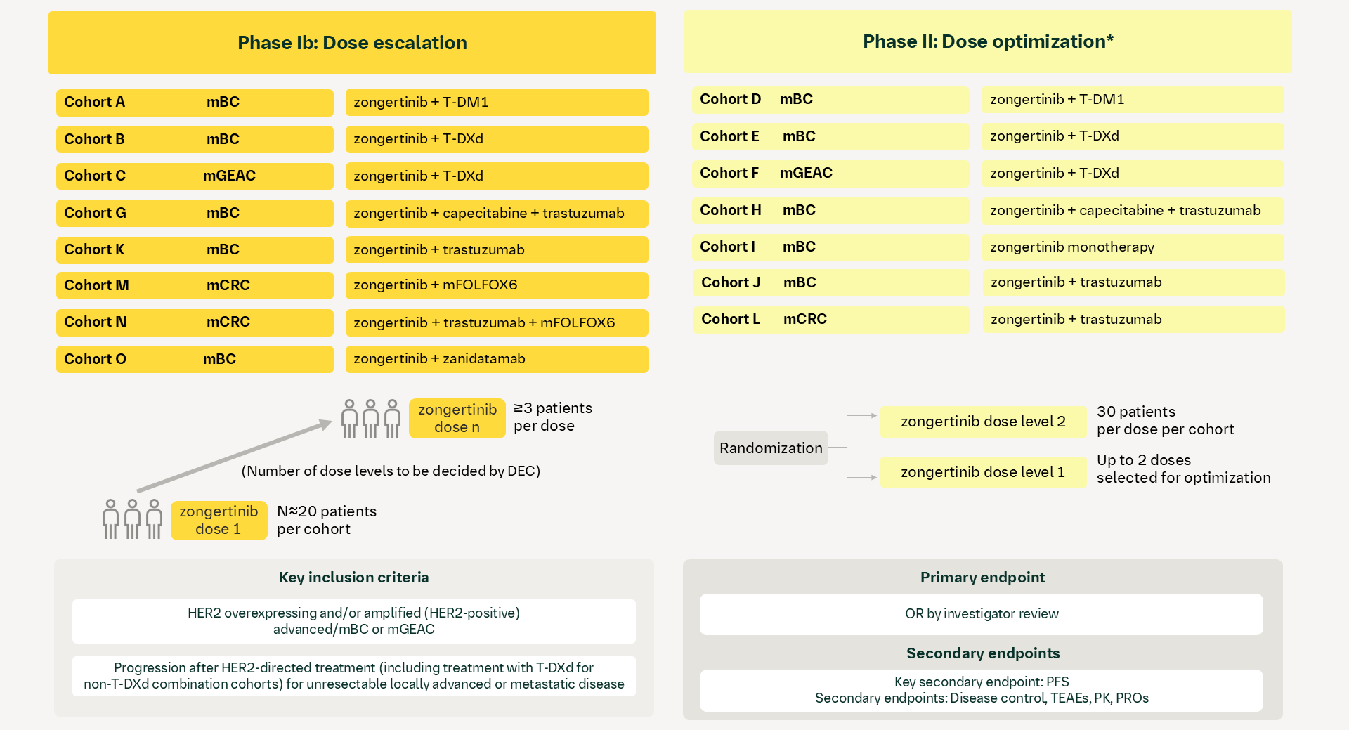 zongertinib: NCT06324357 (Beamion™ BCGC-1, 1479-0012)