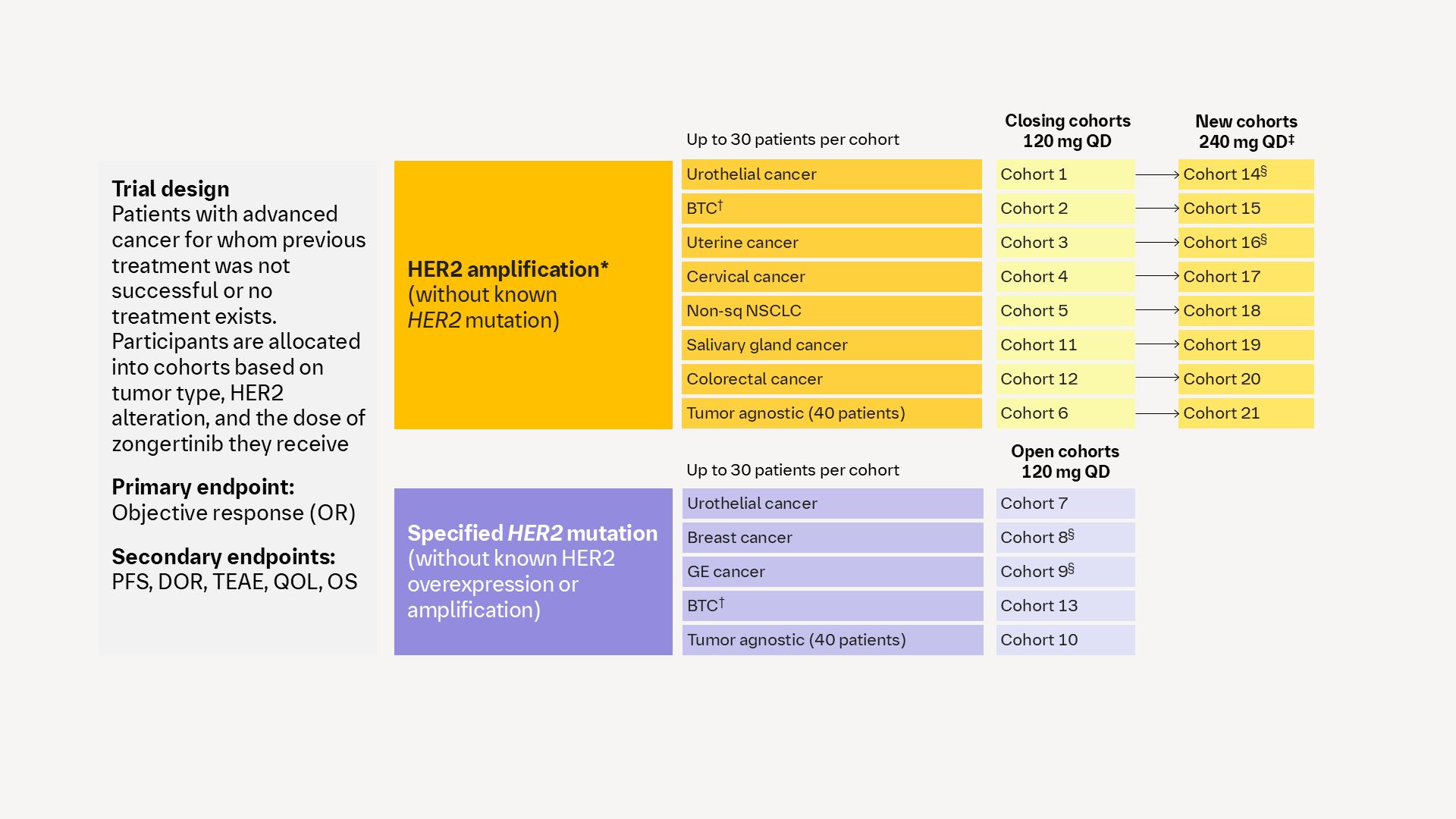 zongertinib: NCT06581432 (Beamion™ PANTUMOR-1, 1479-0009