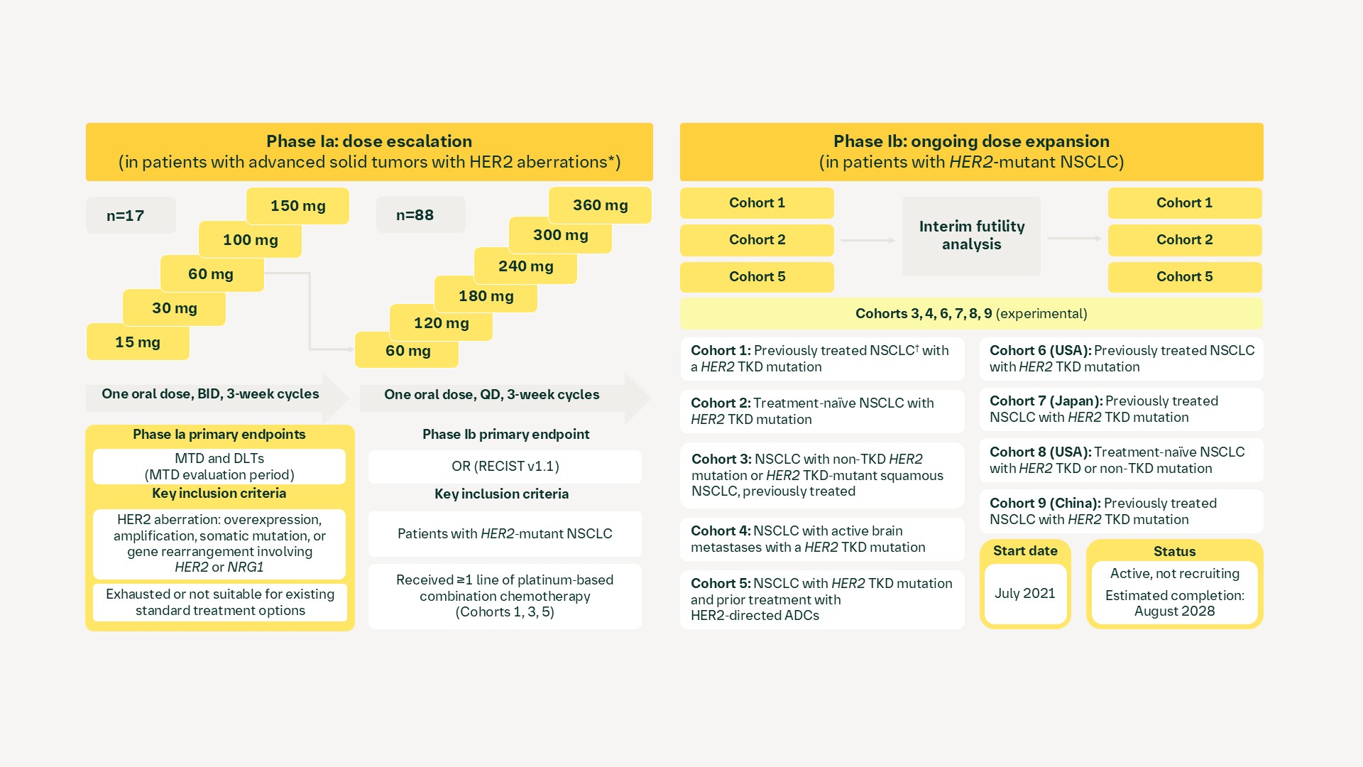 zongertinib: NCT04886804 (Beamion™ LUNG-1, 1479-0001)