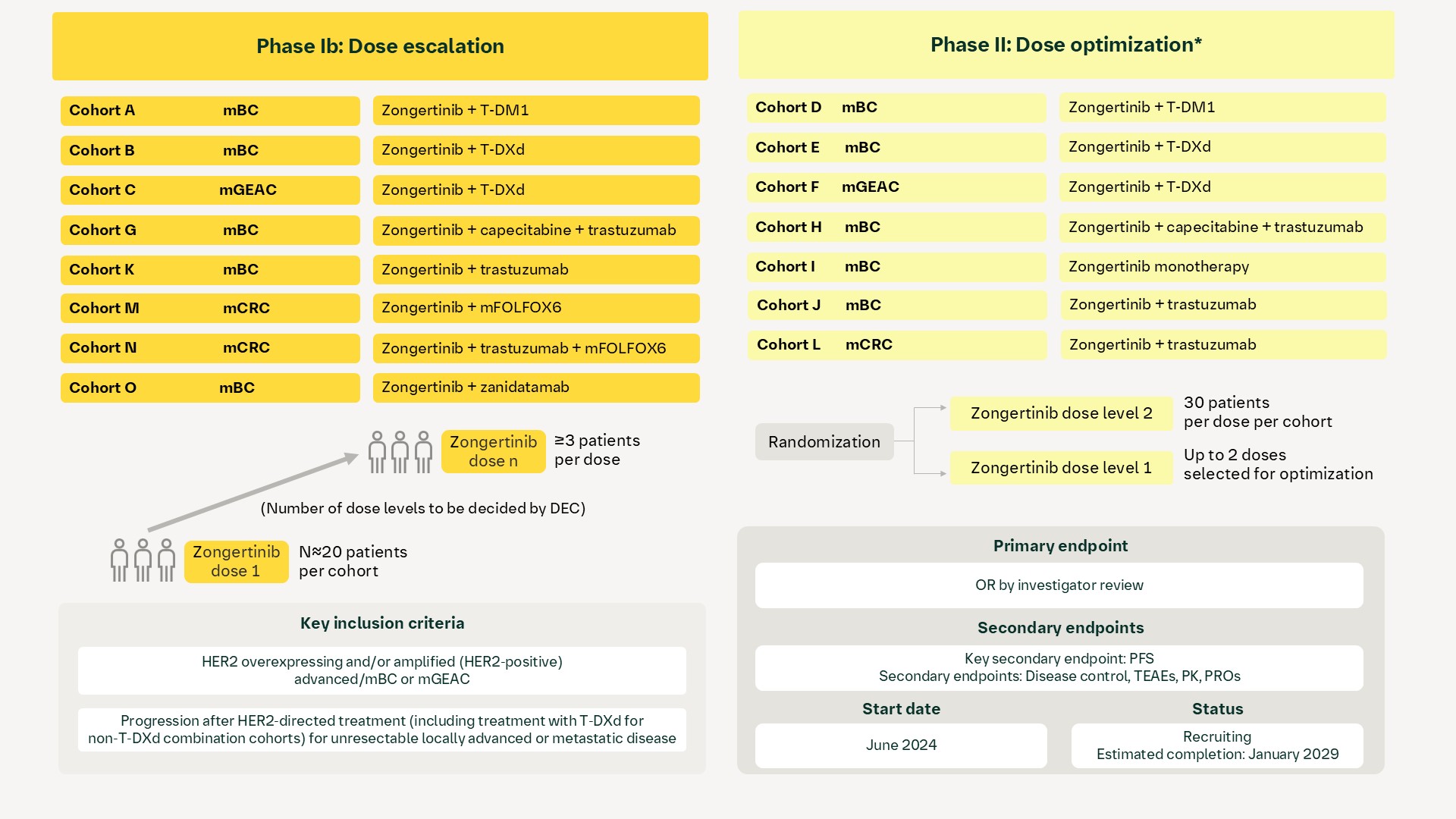 zongertinib-nct06324357-beamion-bcgc-1-1479-0012_1