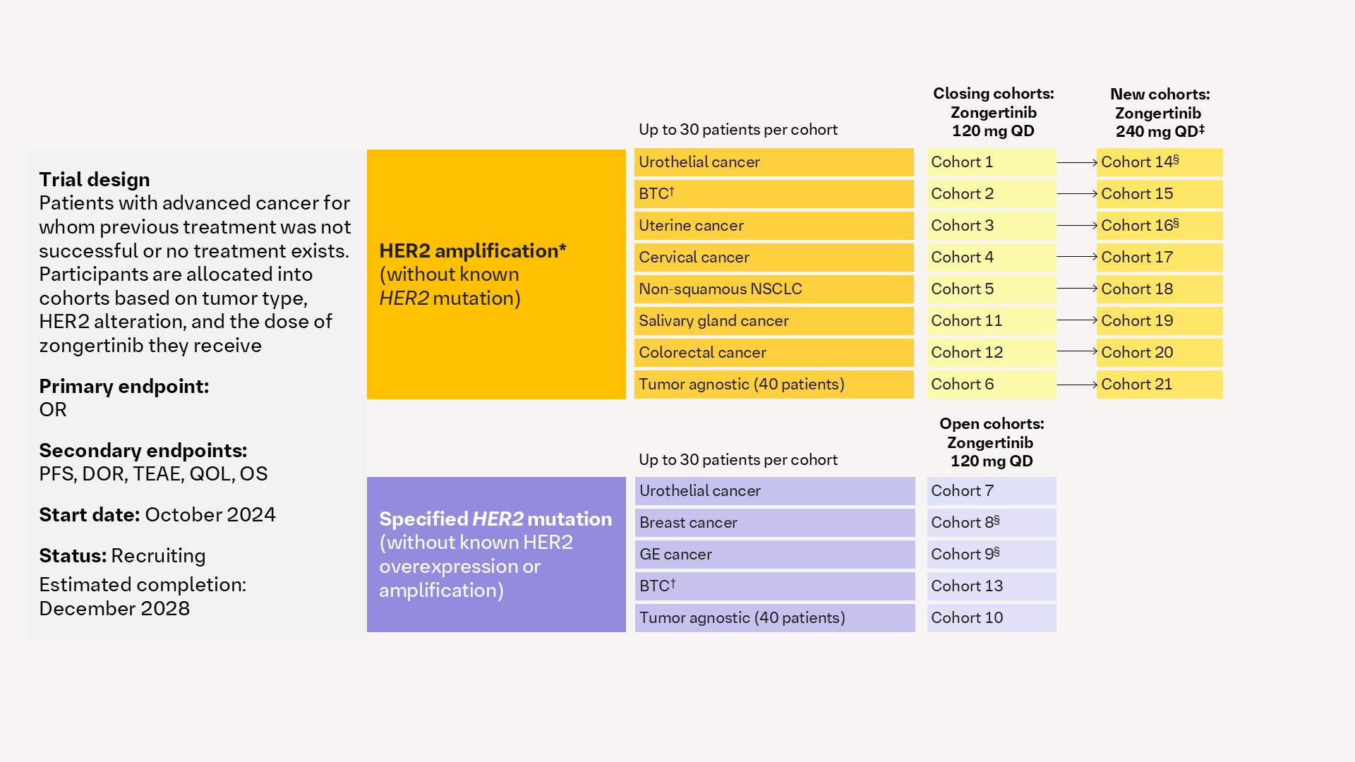 zongertinib: NCT06581432 (Beamion™ PANTUMOR-1, 1479-0009